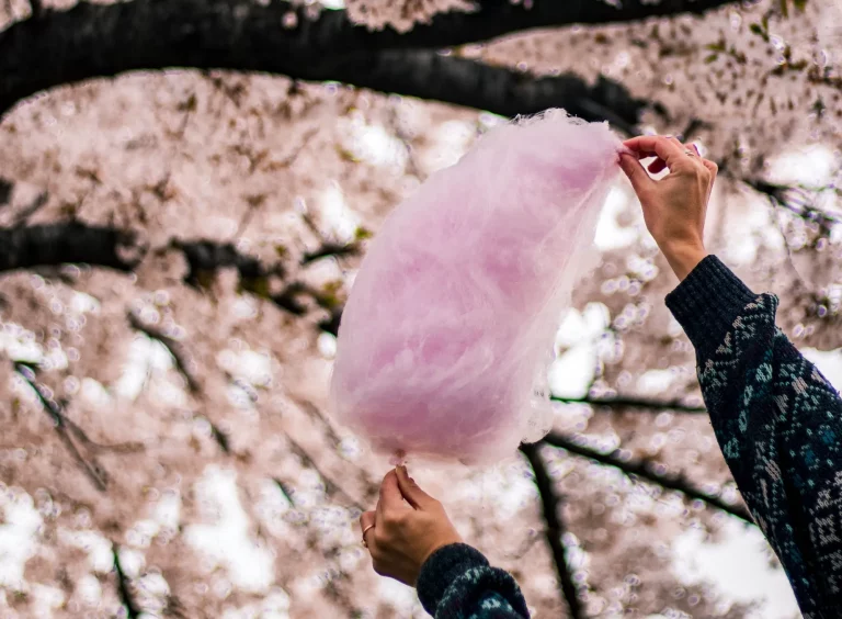 Someone holding a candy floss in the air