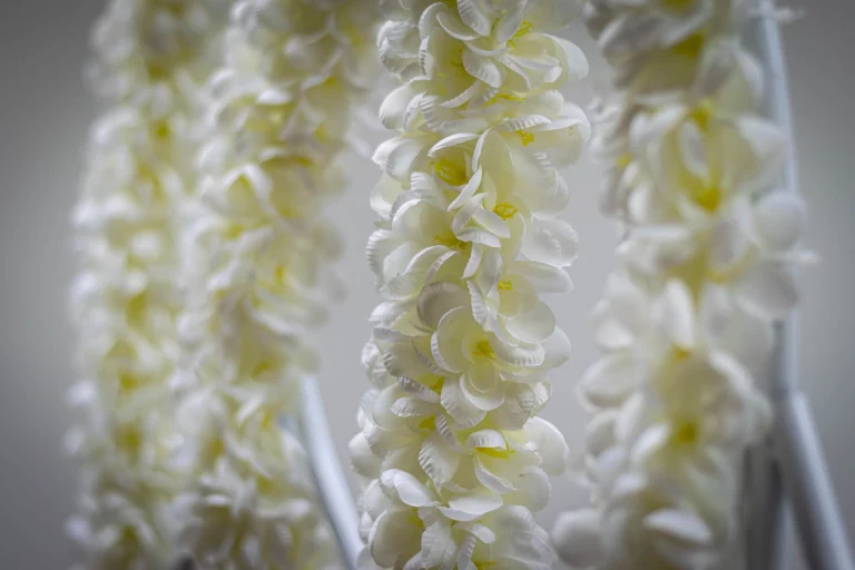 Close up of a flower arch
